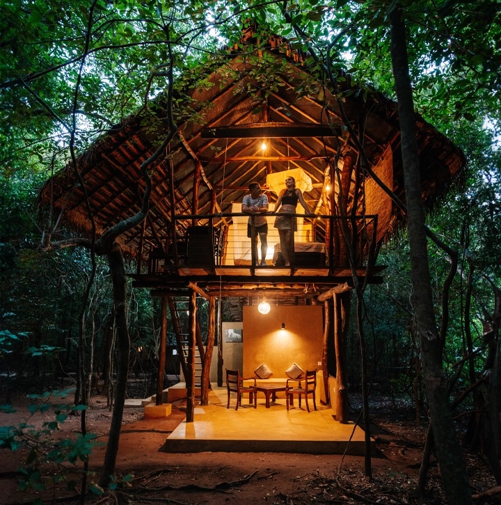 Jungle-Hideaway-Slider